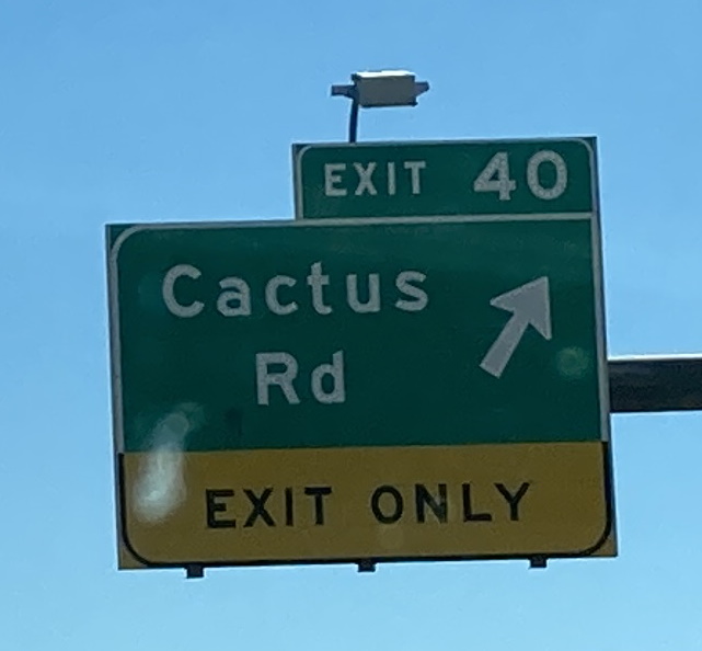 AZ101S/Cactus