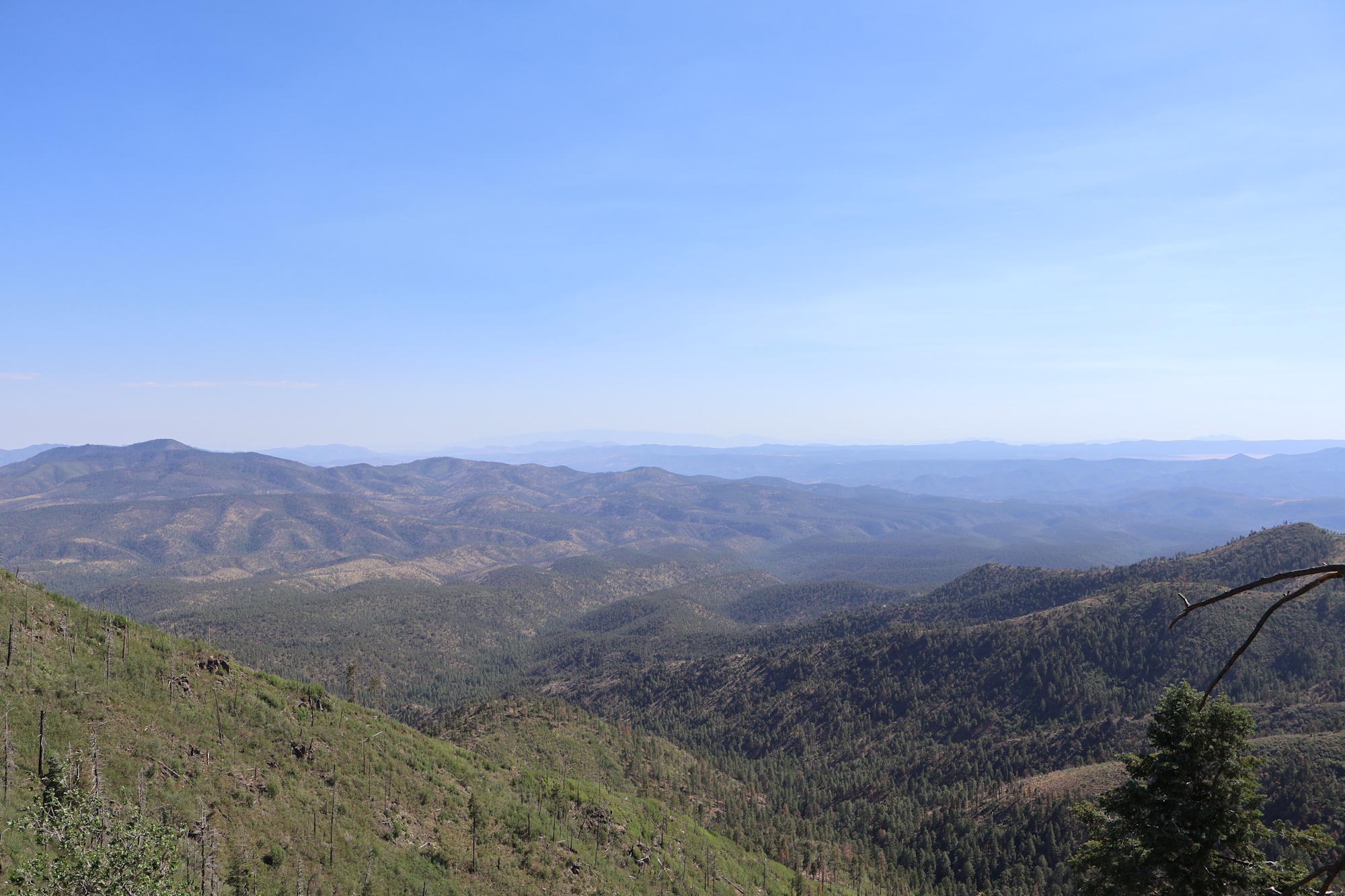 View from Blue Vista