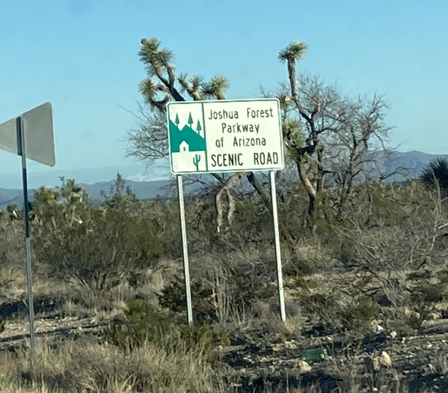 Joshua Tree Parkway of Arizona Scenic Road