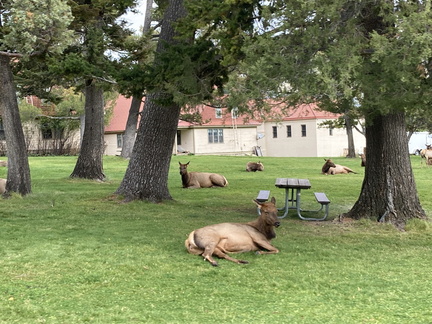 20231002 185925864 iOS