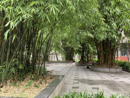 20240604 093815273 iOS