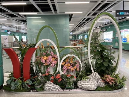 20240606 085038039 iOS