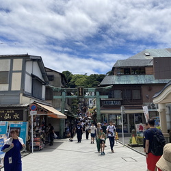 Scenery