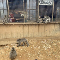 International Travels