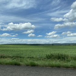 Scenery