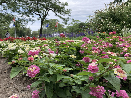 20240802 185808434 iOS