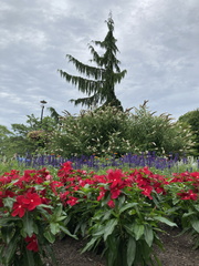 20240802 185838492 iOS