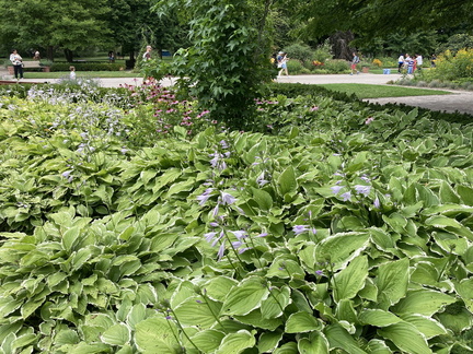 20240802 185903032 iOS